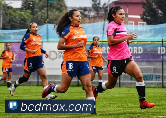 bc贷官网平台生态图